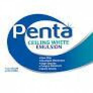 Penta  Latex Sealer